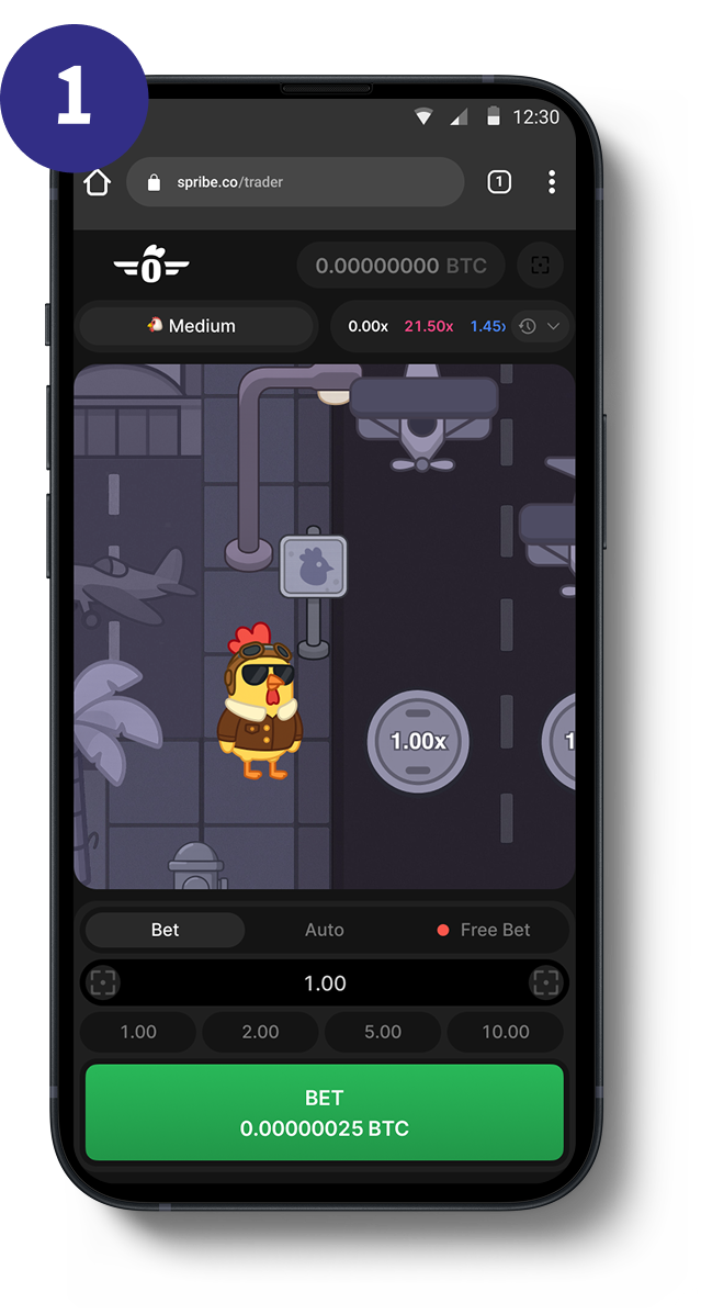Pilot Chicken gameplay screenshot