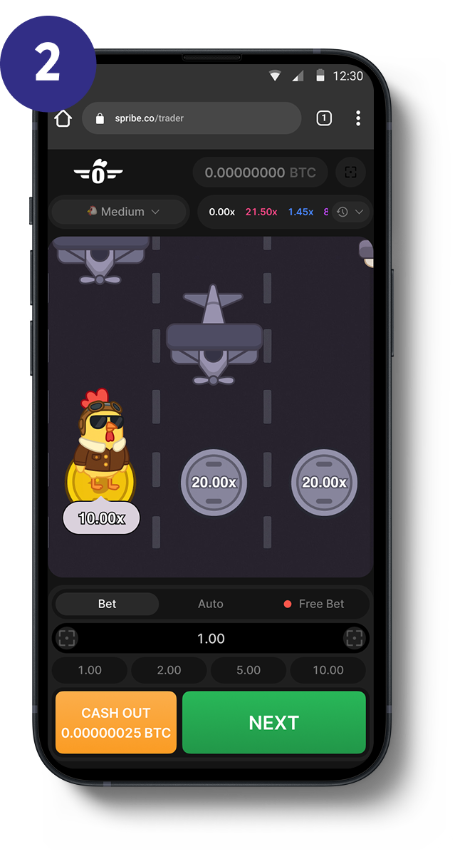 Pilot Chicken gameplay screenshot