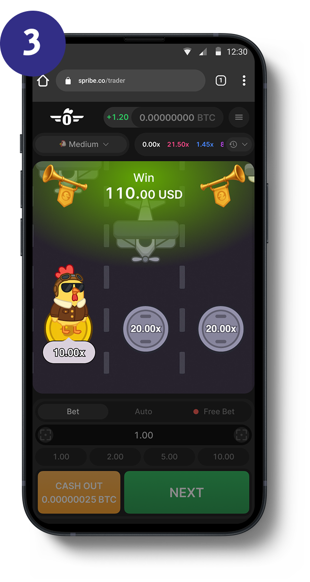 Pilot Chicken gameplay screenshot